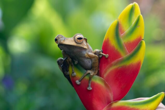 Escape to Costa Rica - 8 Days of Adventure!