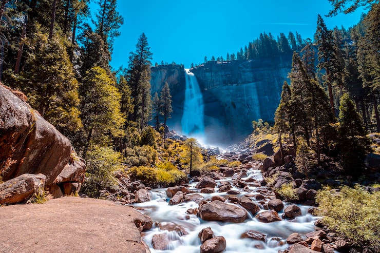 National Parks Tours